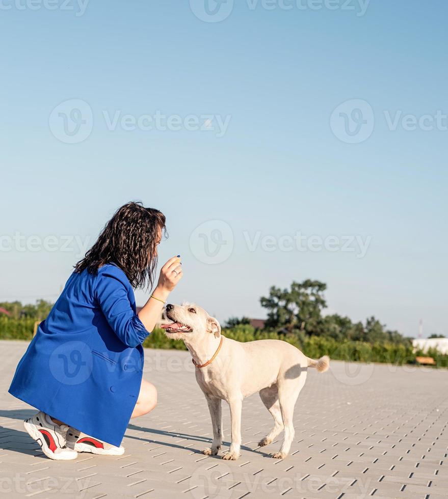 ung attraktiv kvinna som leker med sin hund i parken foto