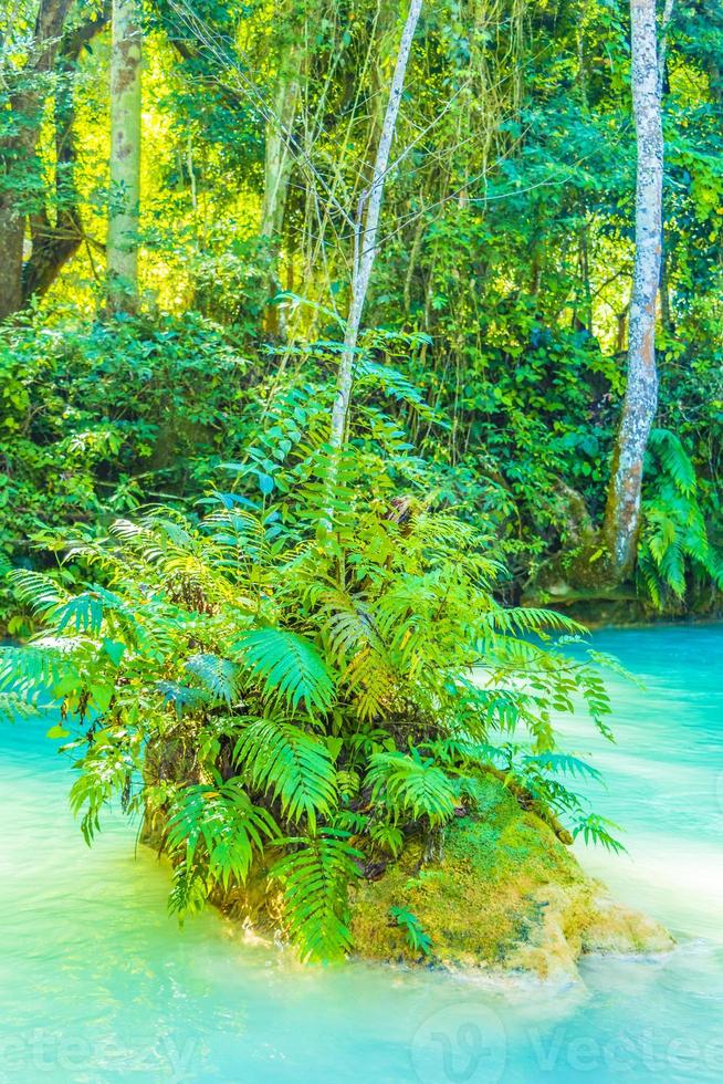 vackraste vattenfall kuang si vattenfall luang prabang laos. foto