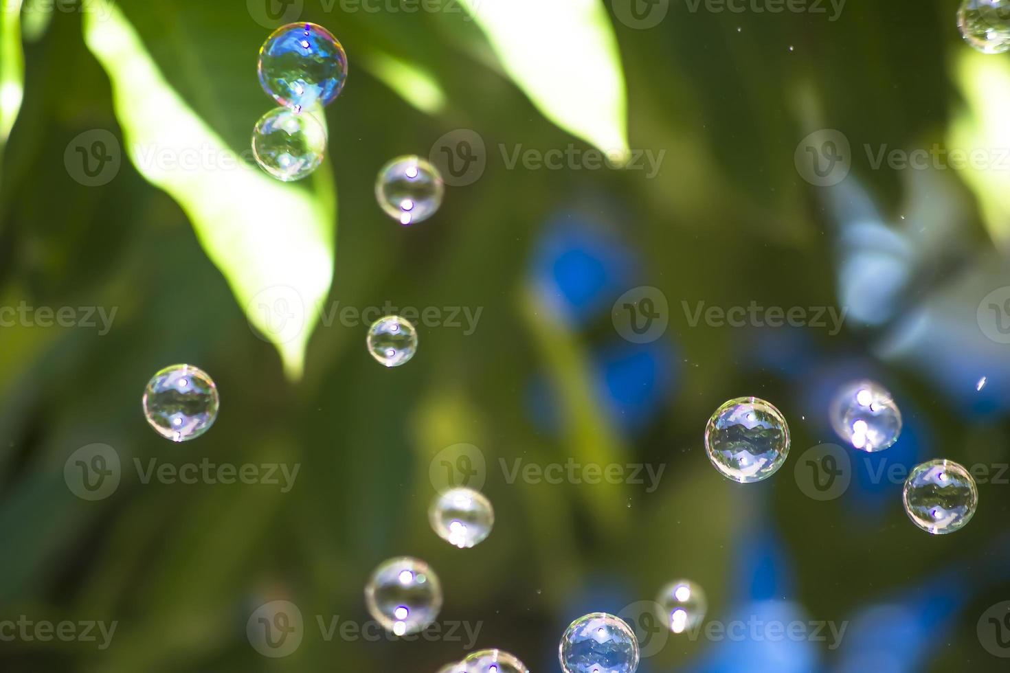 vattenbubblor flyter och faller på gröna blad foto