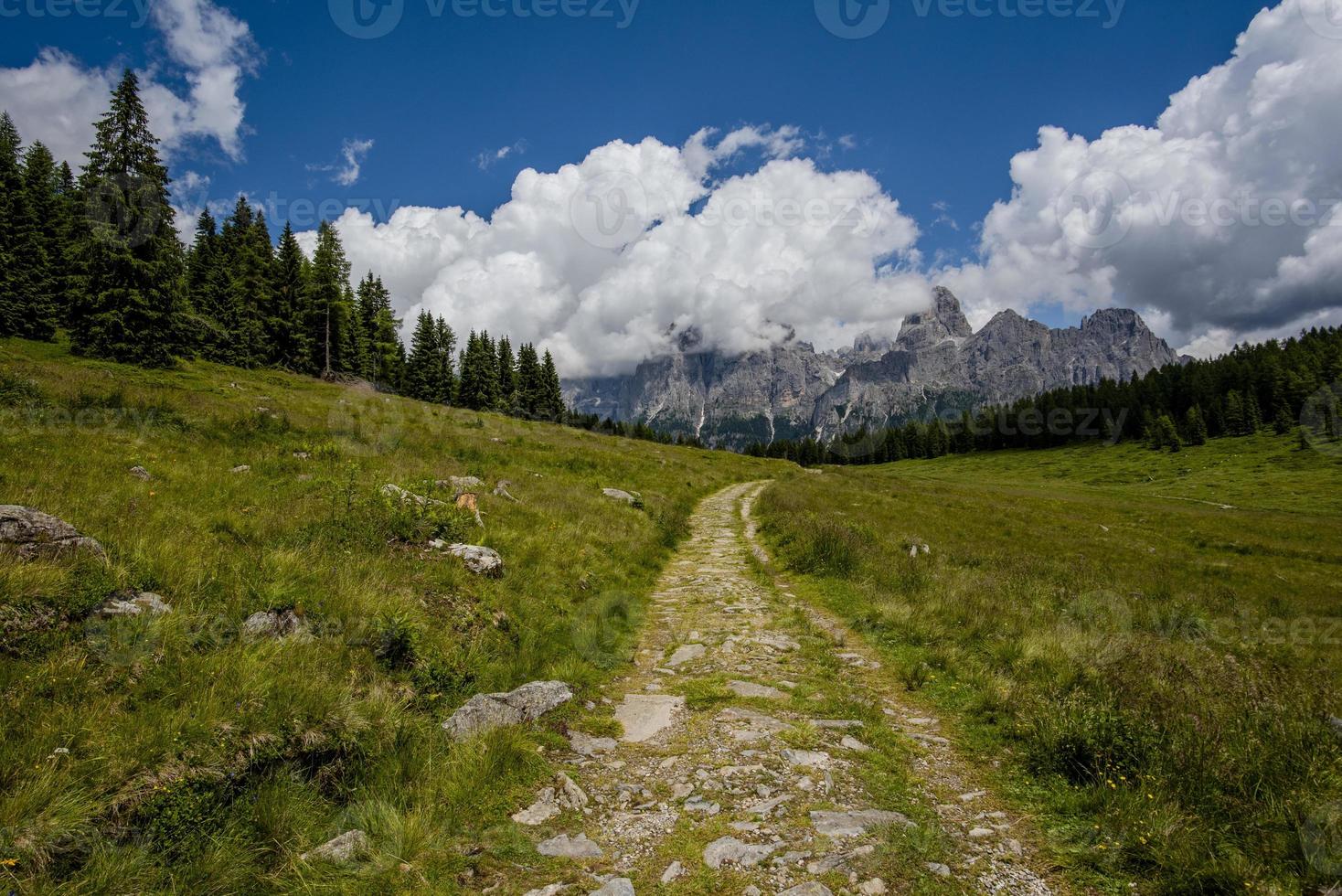 forntida väg bland de gröna betesmarkerna vid Calaita -sjön i San Martino di Castrozza, Trento, Italien foto