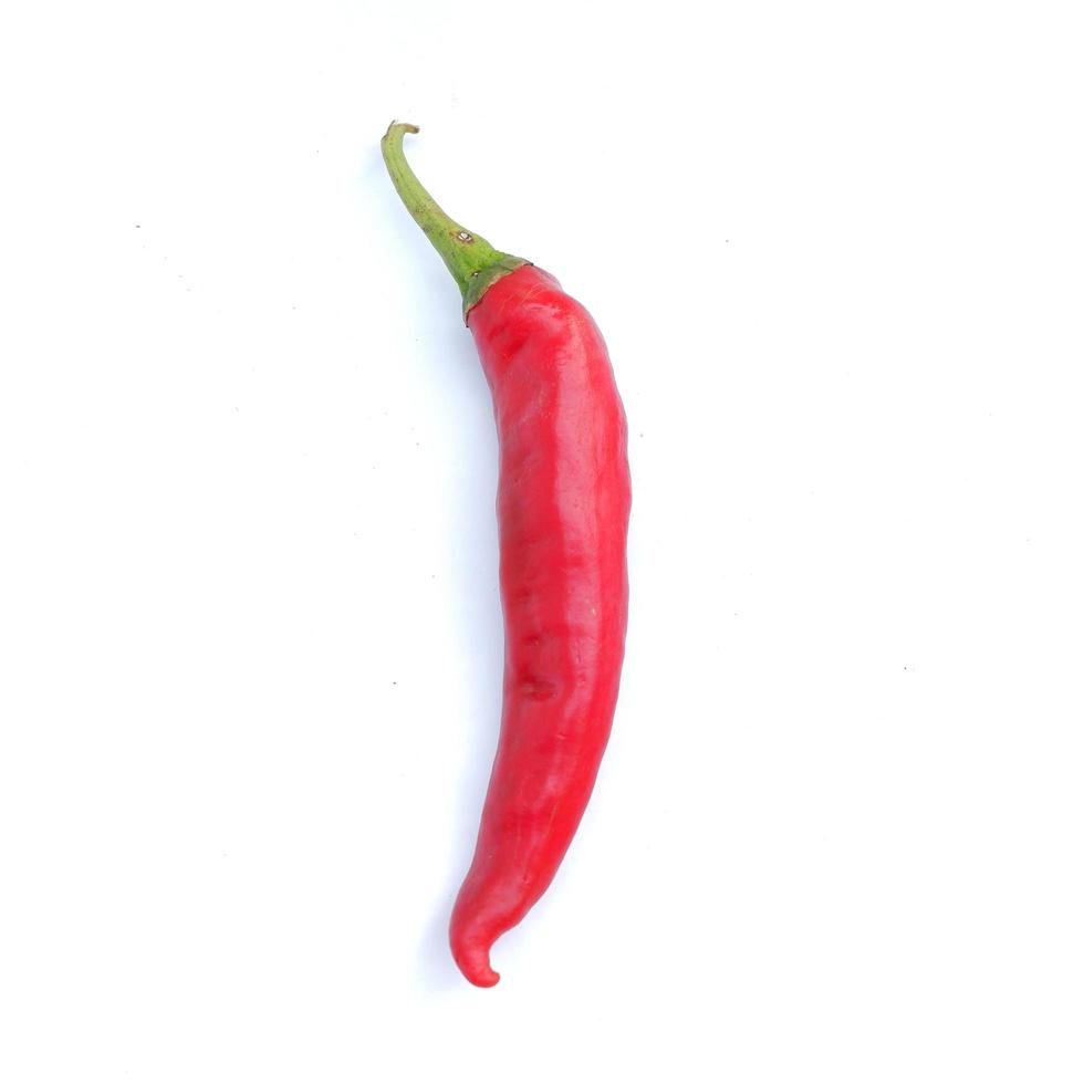 röd chili isolerad på en vit bakgrund foto