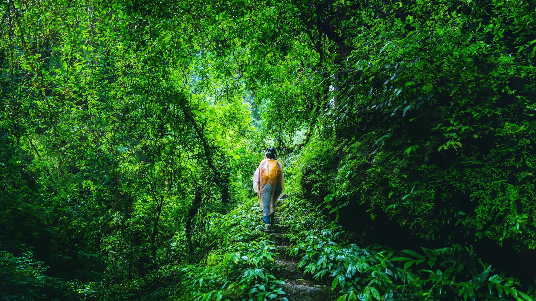 asiatisk kvinnor resa ta en bild natur studie. resa de högsta vattenfall i Chiang Mai mae-pan regnig säsong på doi intanon i thailand. foto