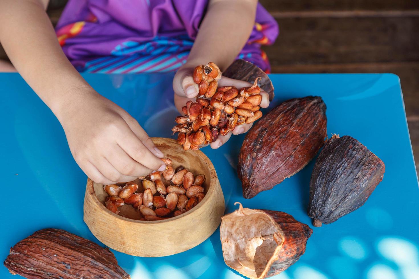 inspektera kakaobönor för sortering foto