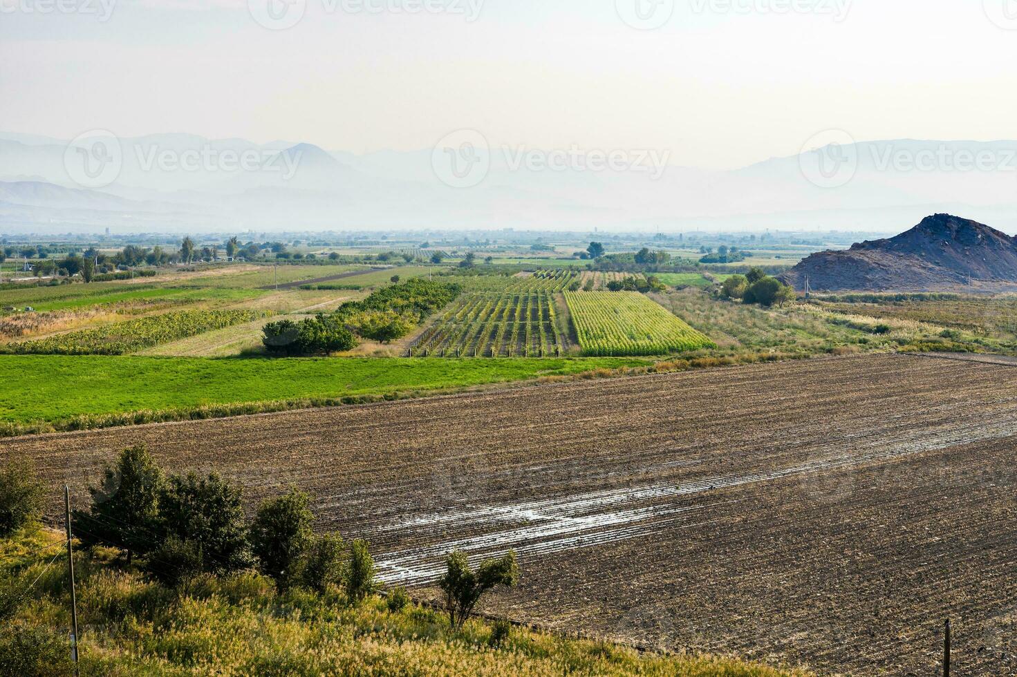 lantlig landskap i ararat enkel, armenia i höst foto