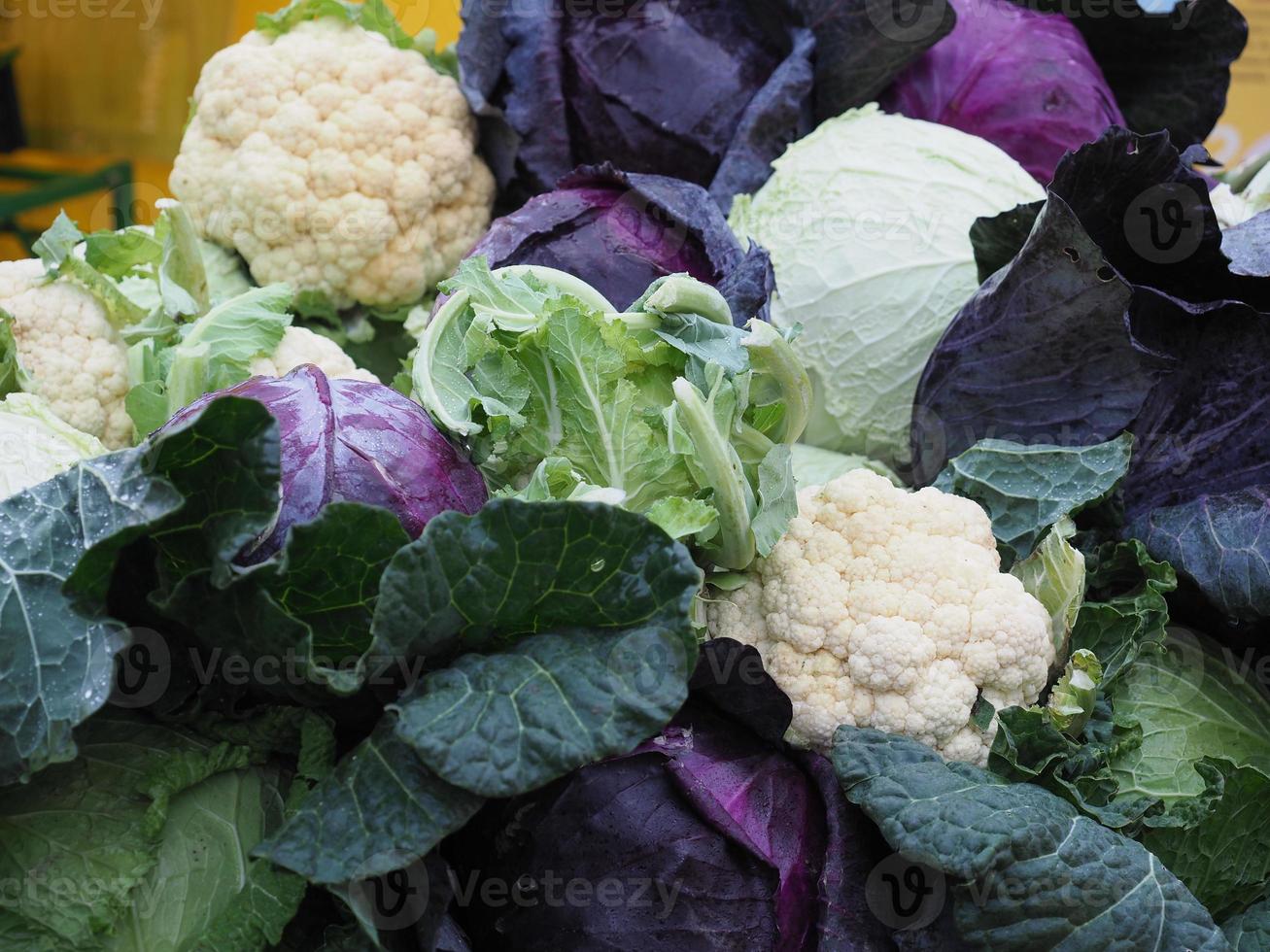kålgrönsak, vegetarisk och vegansk mat foto