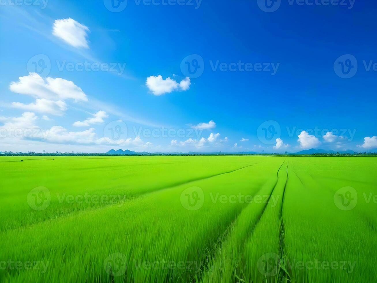 grönt fält och blå himmel foto