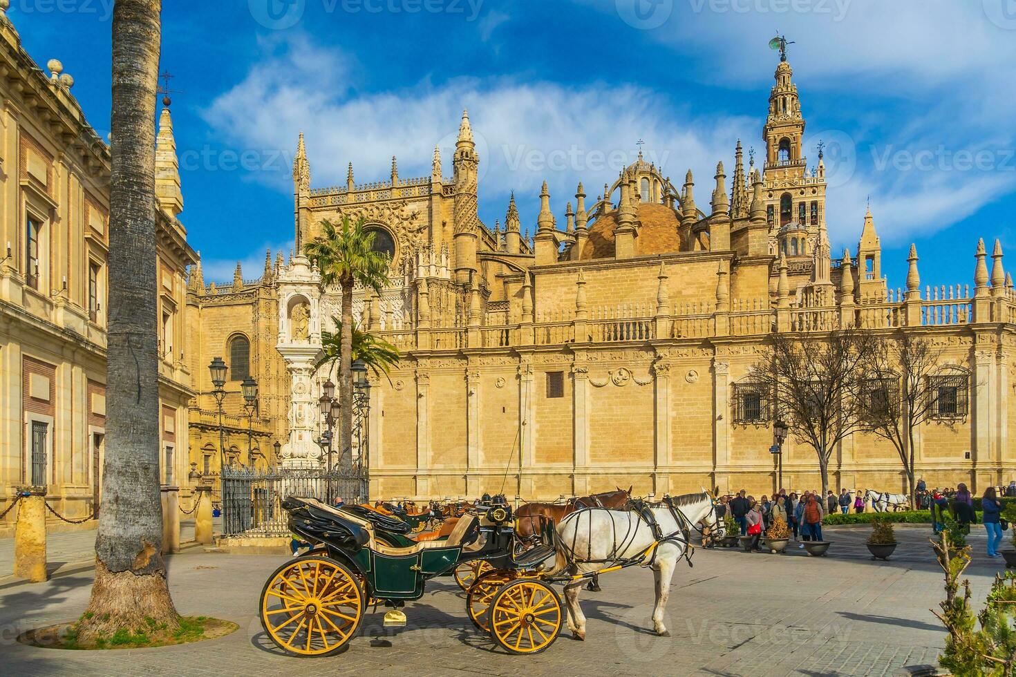 giralda torn och sevilla katedral i stadens centrum Spanien foto