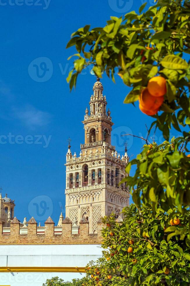 giralda torn och sevilla katedral i gammal stad Spanien foto