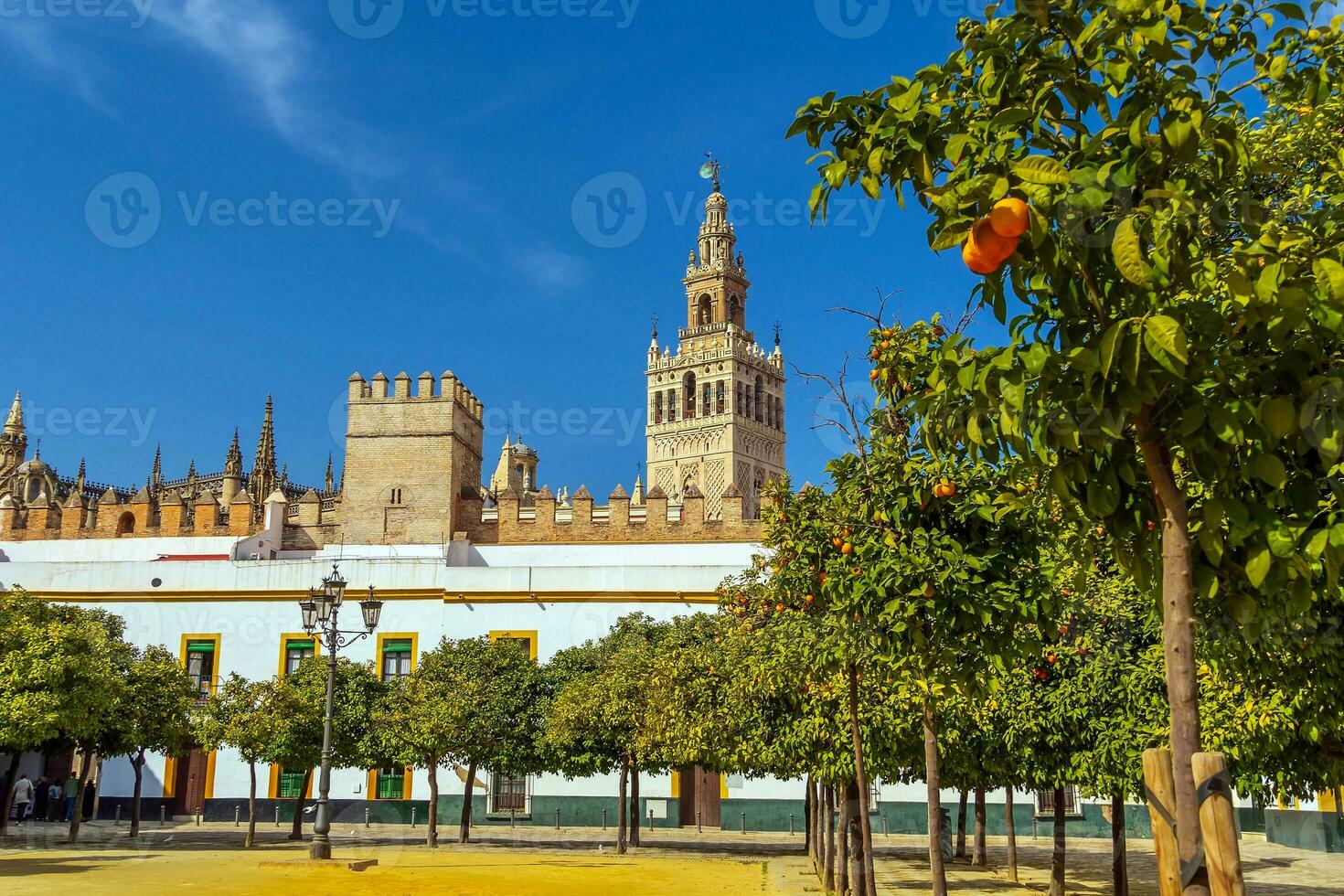 giralda torn och sevilla katedral i gammal stad Spanien foto