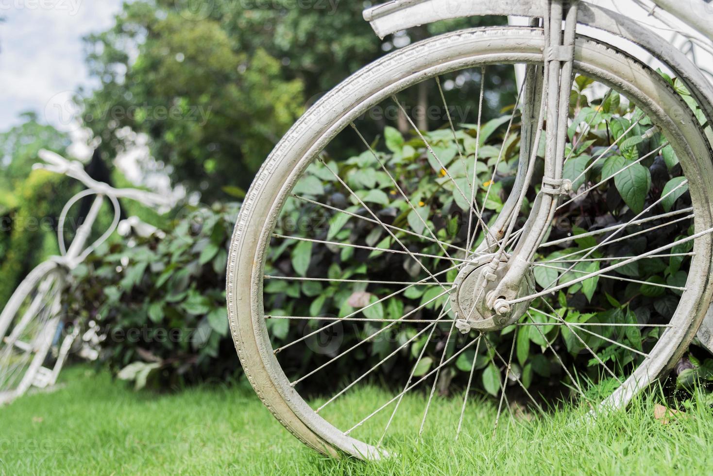 vit cykel i trädgårdsbakgrund foto