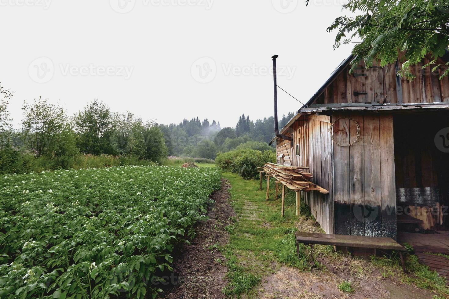 främre se av trä- hus i ryska by i solig sommar dag foto