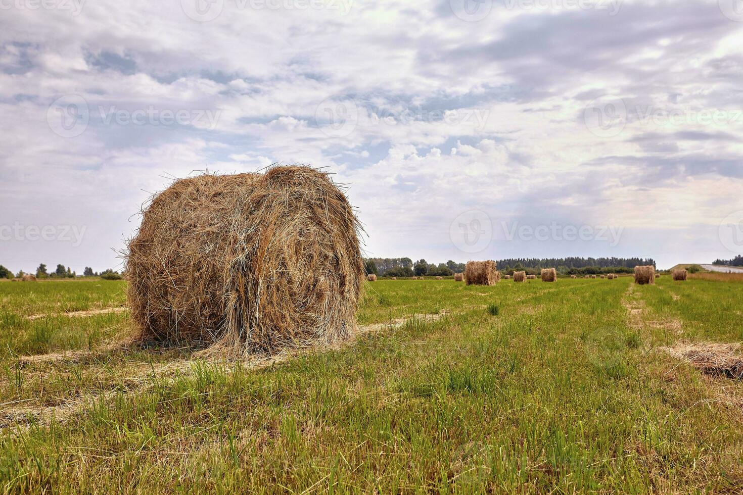 höstack skörda lantbruk fält landskap. lantbruk fält höstack se. foto