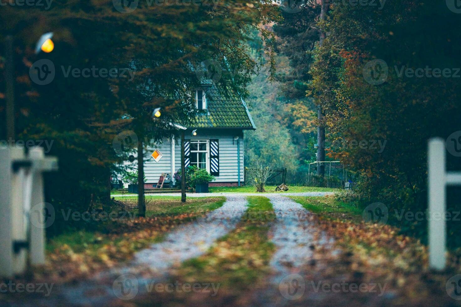 morgon- soluppgång över skog stadsbild foto