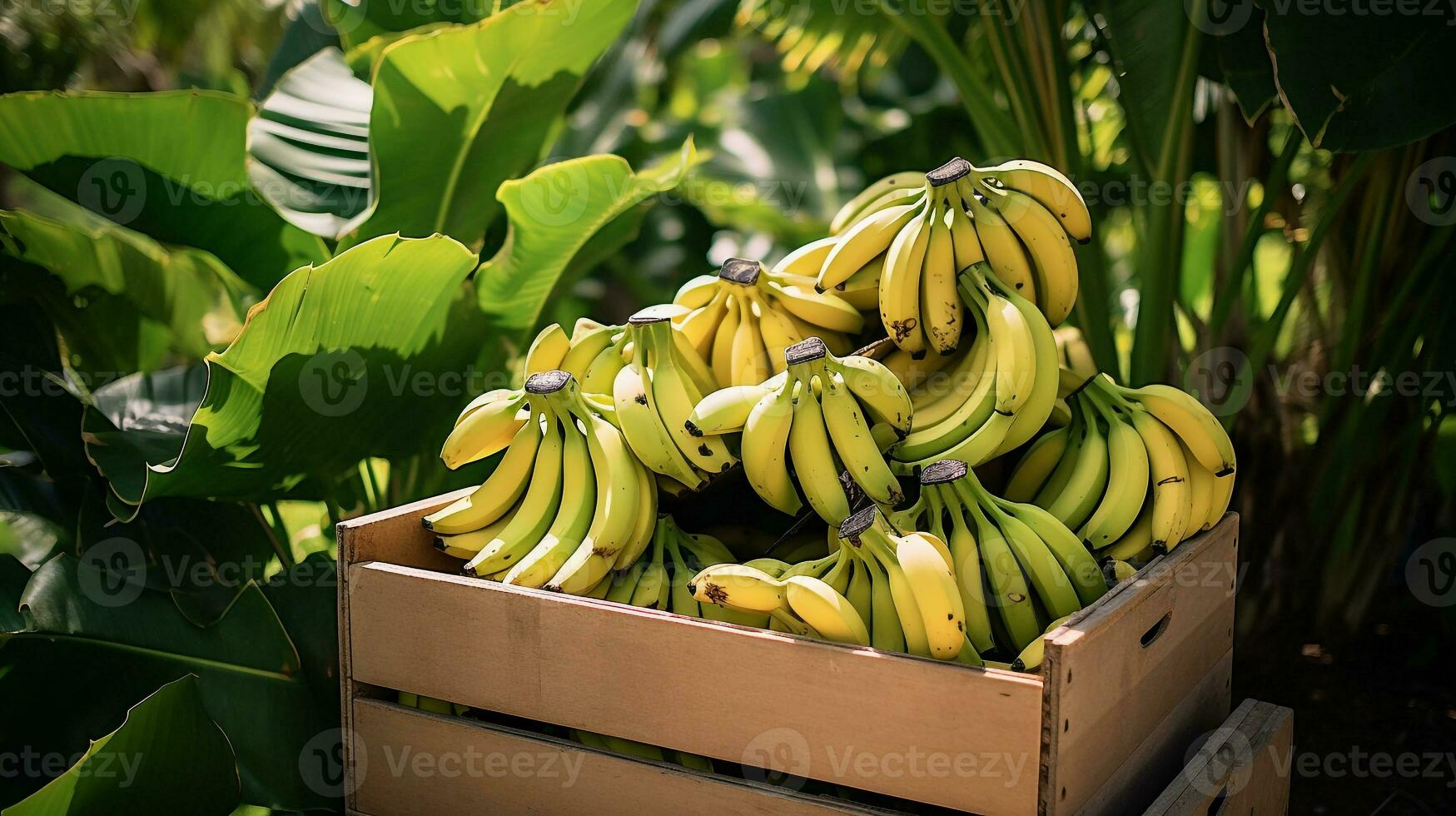 nyligen plockade banan frukt från trädgård placerad i de lådor. generativ ai foto