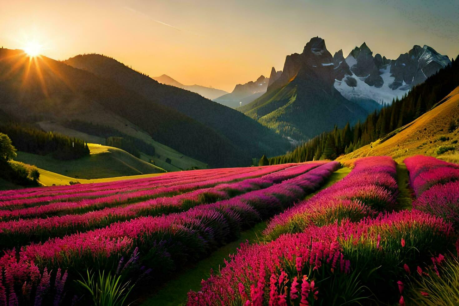 de Sol stiger över en fält av lavendel- blommor. ai-genererad foto