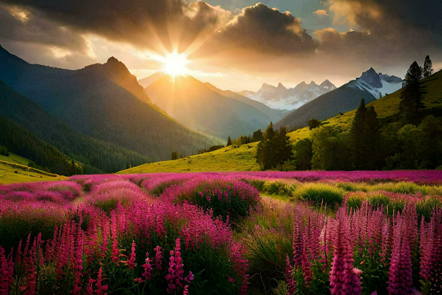 de Sol stiger över en fält av lila blommor i de berg. ai-genererad foto