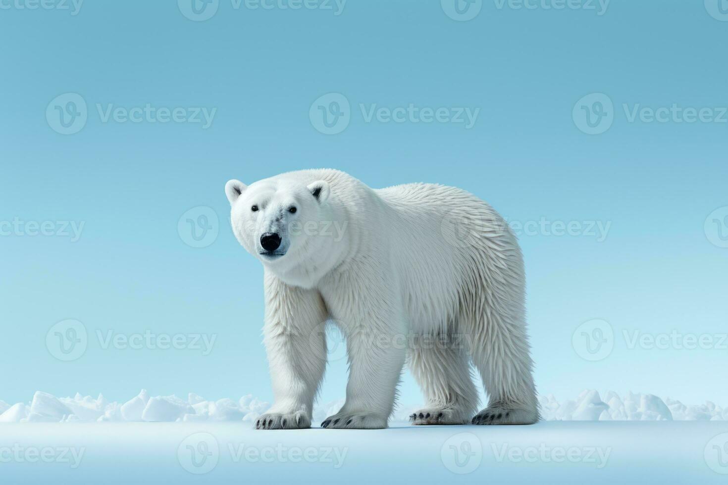 polär Björn prowling i snö isolerat på en blå lutning bakgrund foto