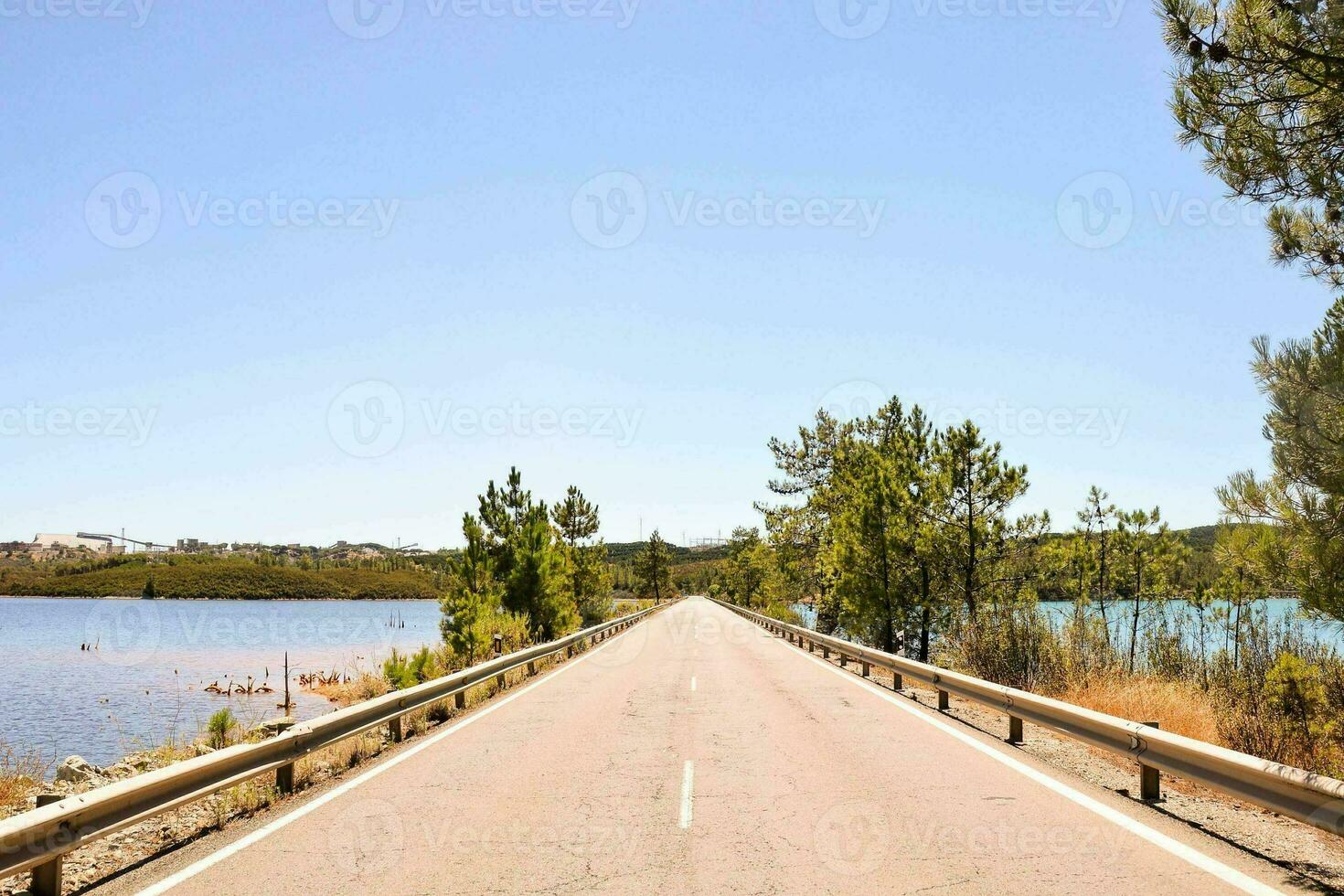 en lång väg med träd på antingen sida och en sjö i de distans foto
