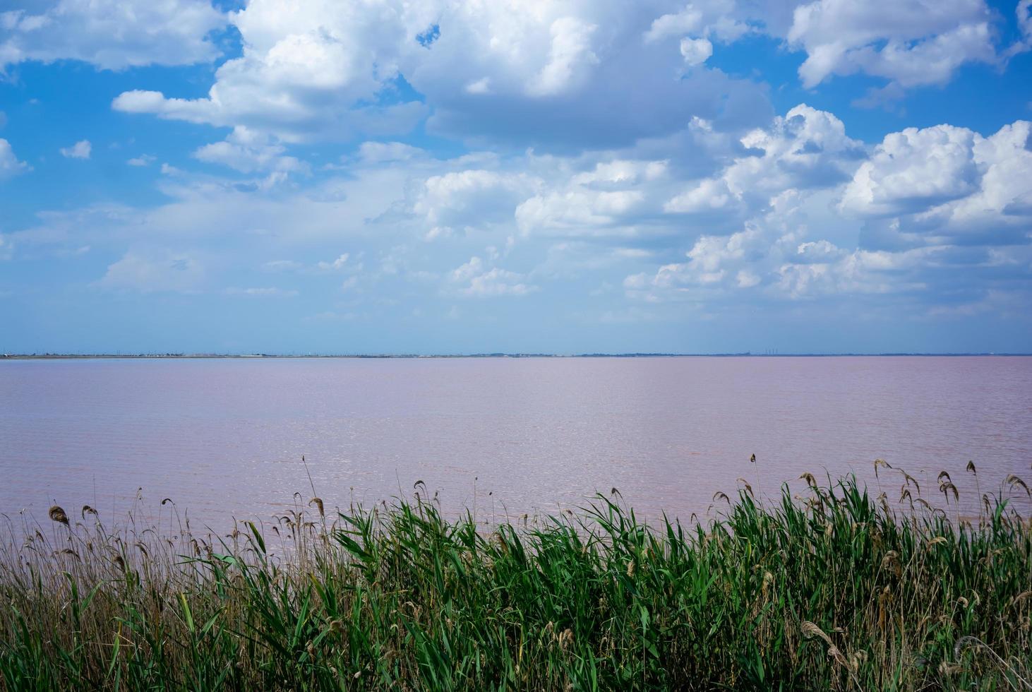 vita moln över den rosa saltsjön foto