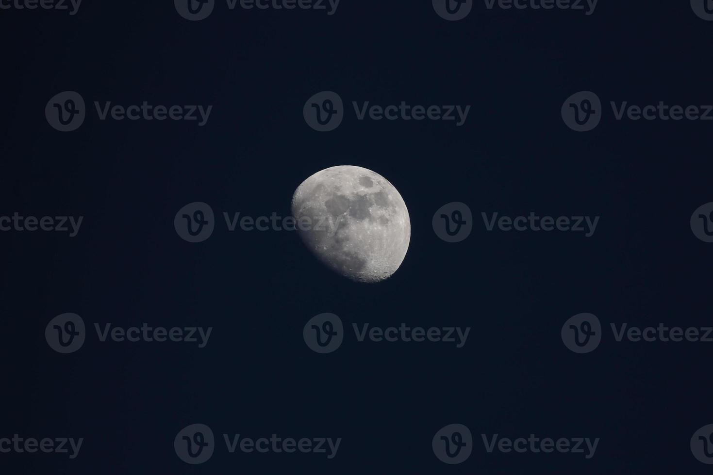 fullmåne på natten foto