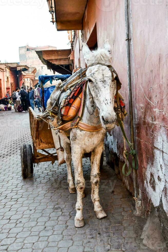 en häst dragande en vagn på en kullersten gata foto