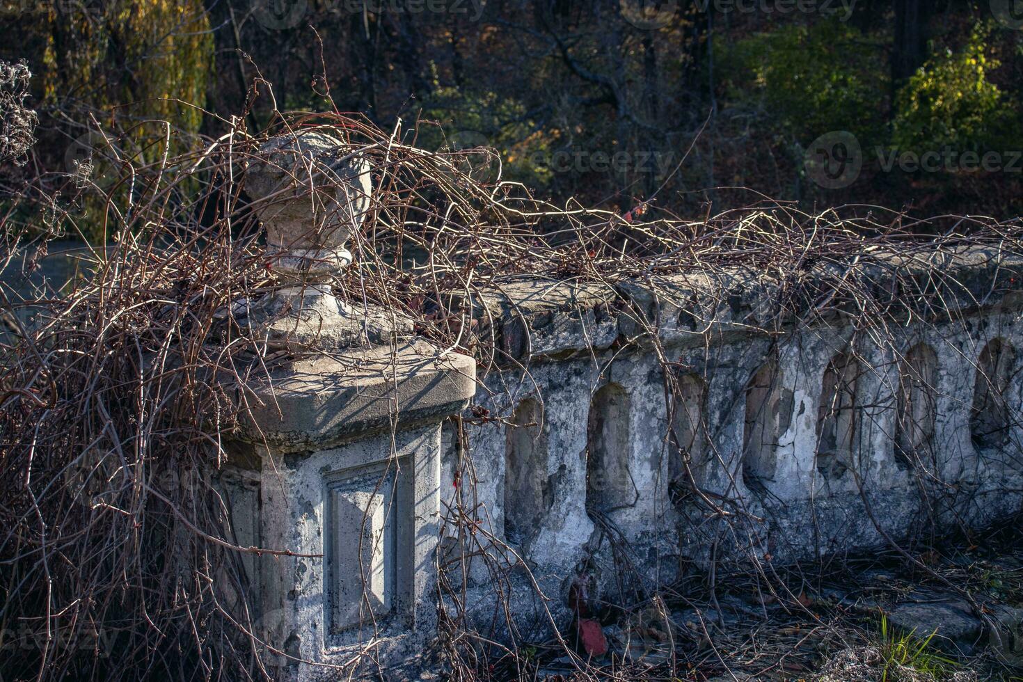 rad av gammal sten räcken i slott parkera begrepp Foto. förstörd gammal gammal palats i ukraina. foto