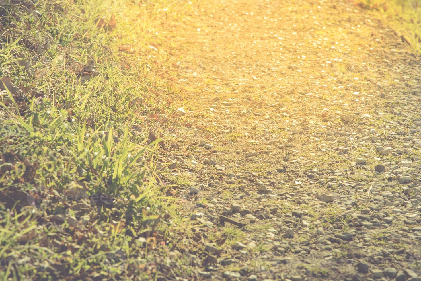 naturligt guld gångväg med sten och gräs, selektivt fokus foto