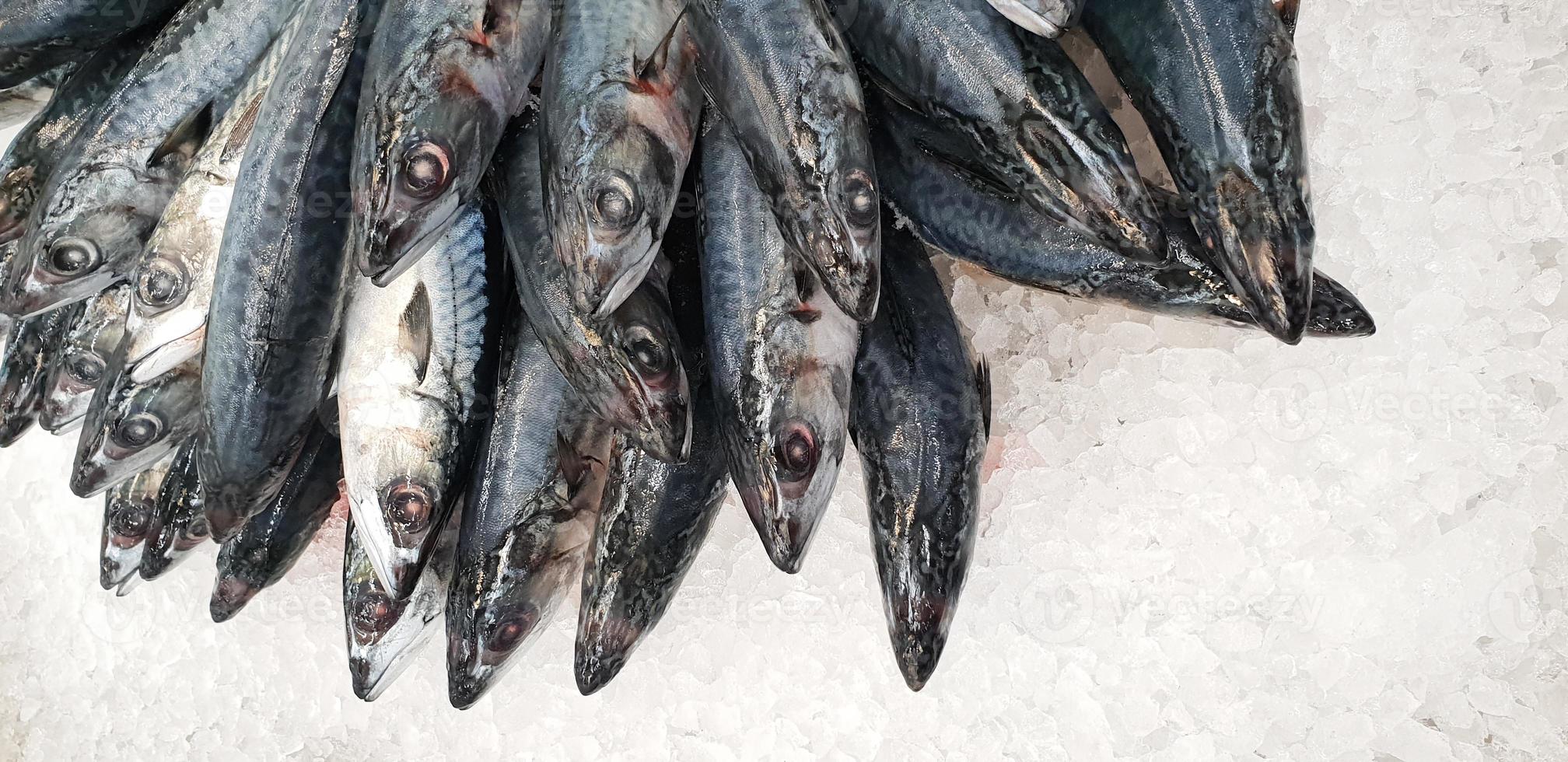 makrill på is i stormarknaden. död rå frusen japansk fisk foto