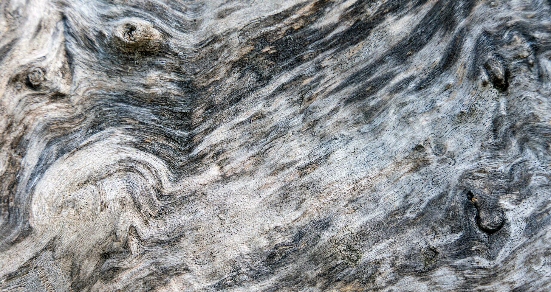 textur av naturlig trä. närbild. selektiv fokus. foto