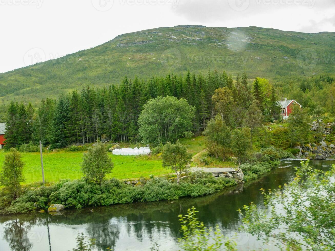 sommar tid i Norge foto