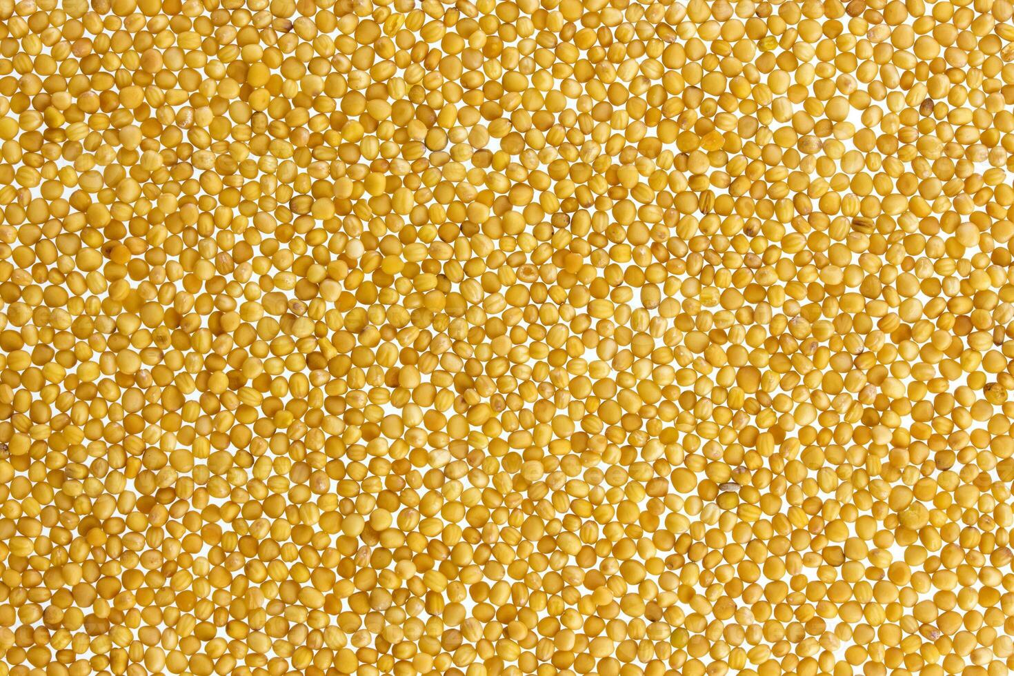 gul senap frön textur eller bakgrund foto