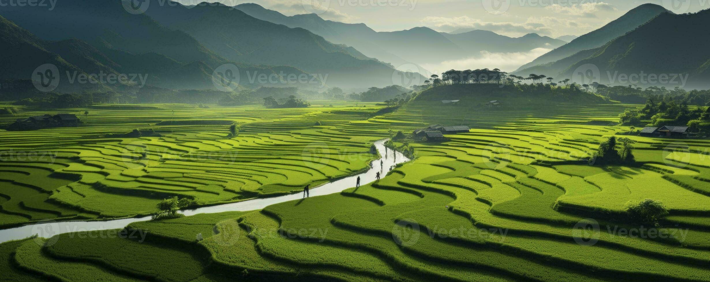 ett antenn se av en omfattande och frodig ris fält, generativ ai foto