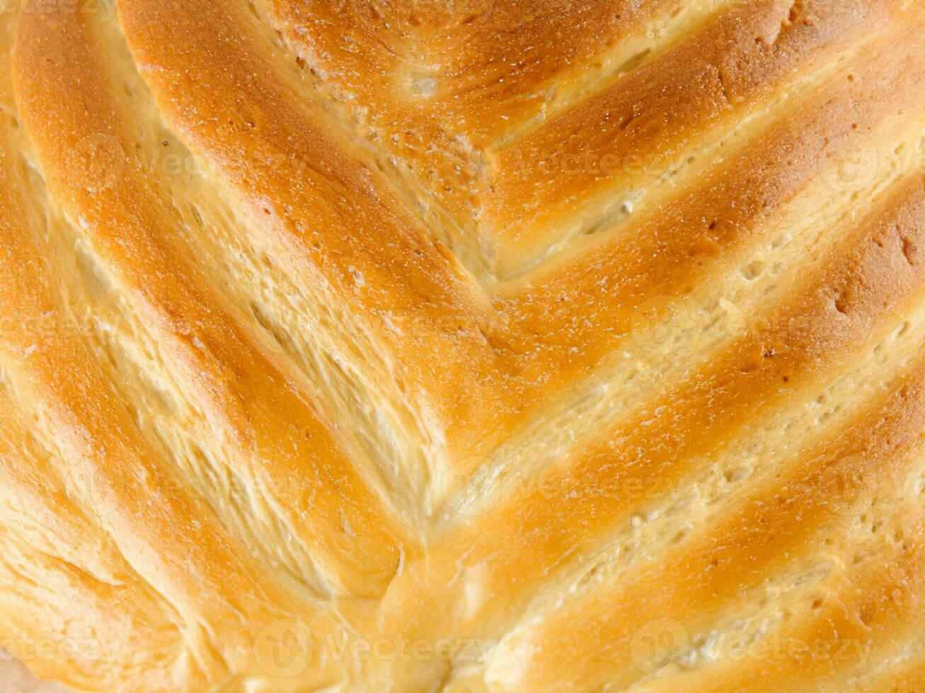 färsk bakad bröd med salt. foto