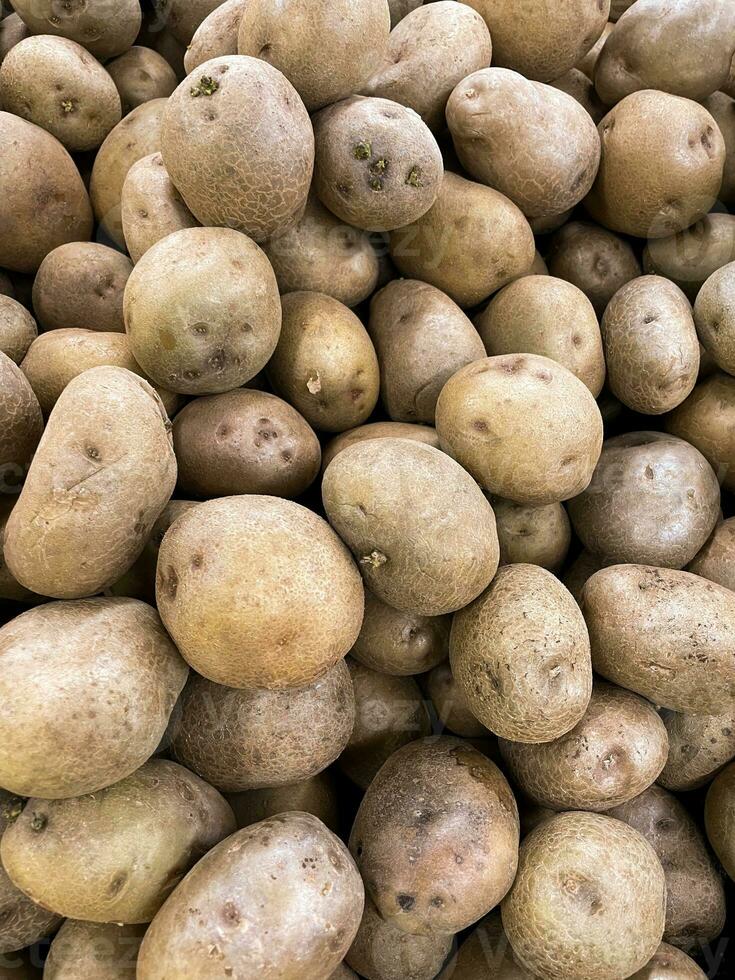 potatis bakgrund i de marknadsföra. UPPTAGITS ung färsk organisk potatisar med jord foto