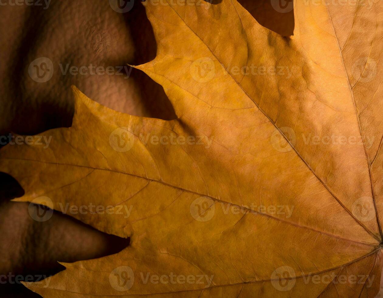 ai genererad höst lönn löv bakgrund. foto