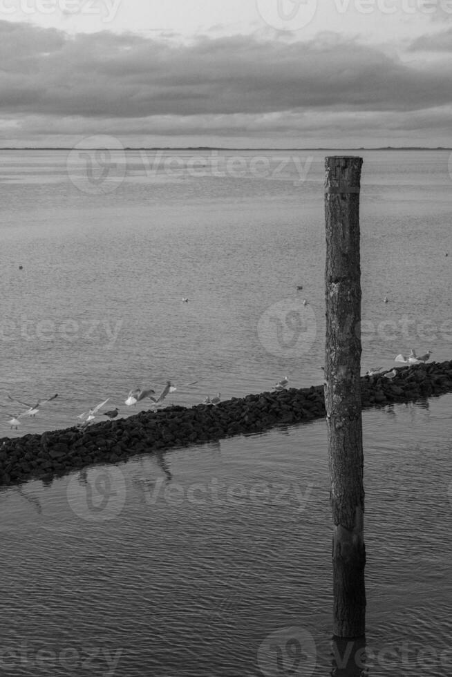 wangerooge ö i Tyskland foto