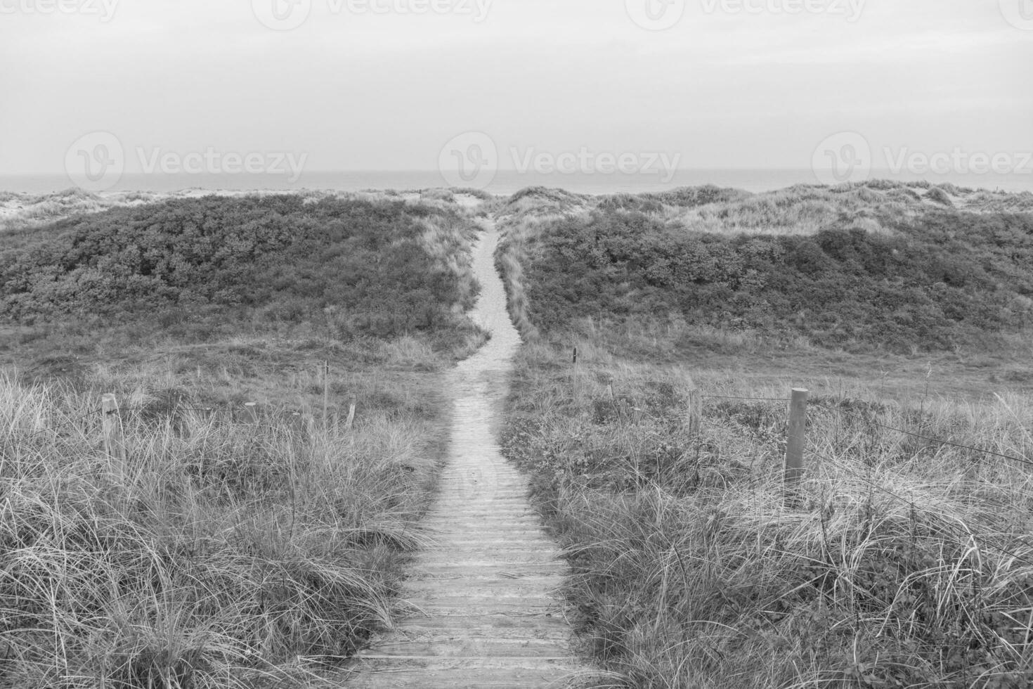 de ö av wangerooge foto