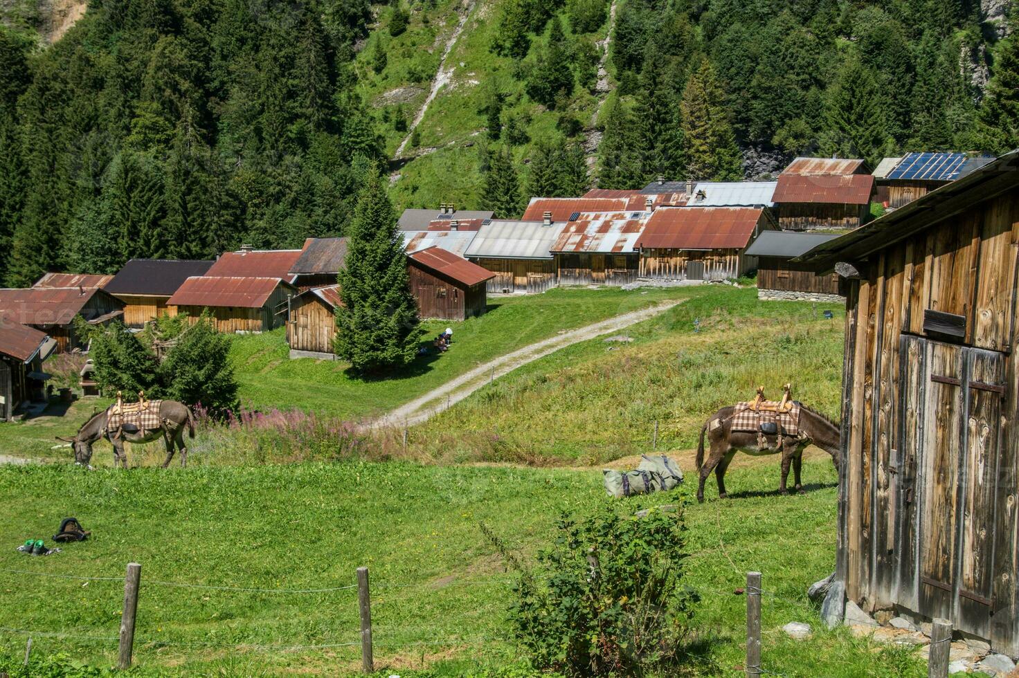 cirkus av typsnitt, haute savoie, frankrike foto