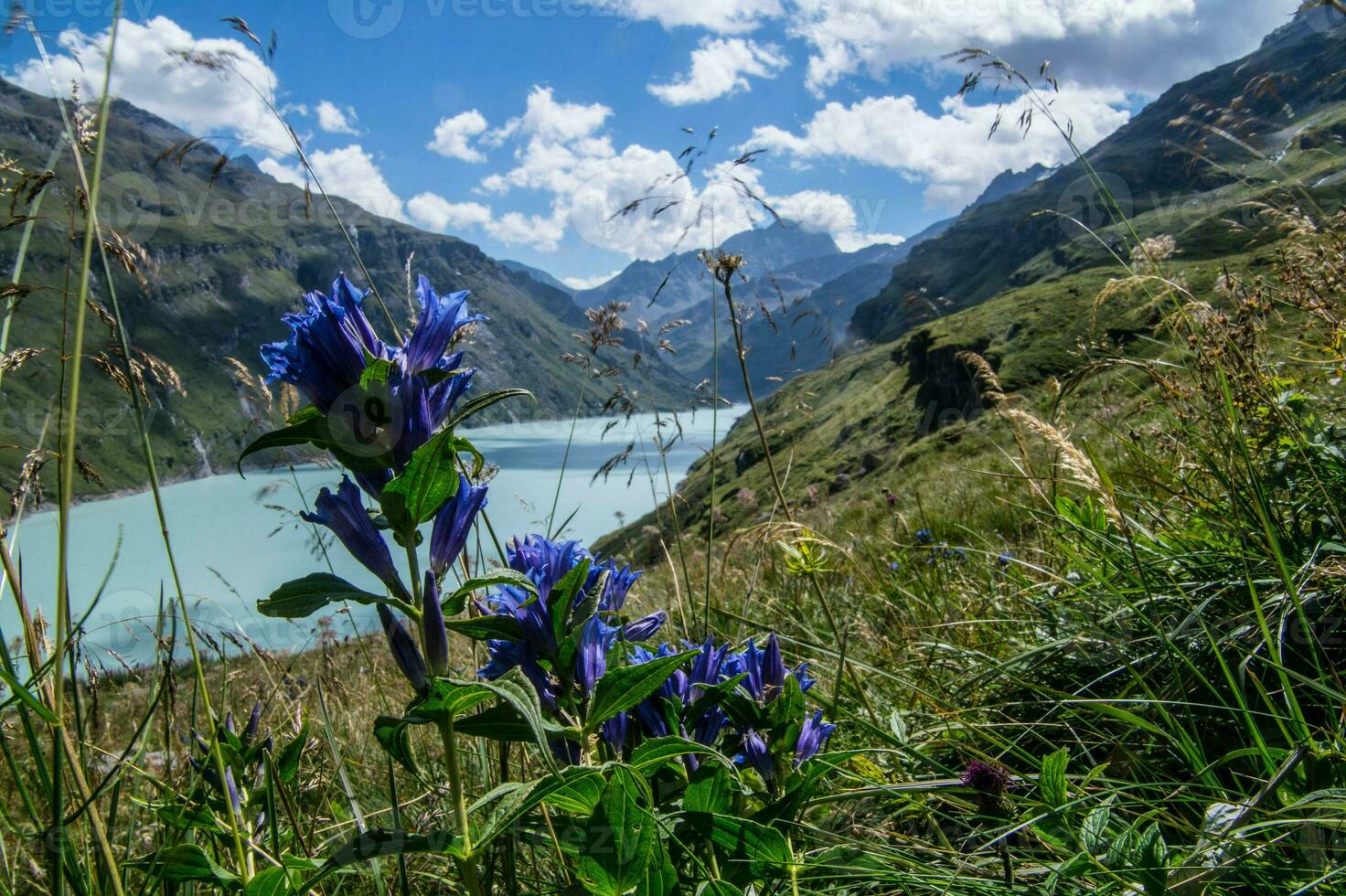 damm mauvoisin, valais, schweiziska foto