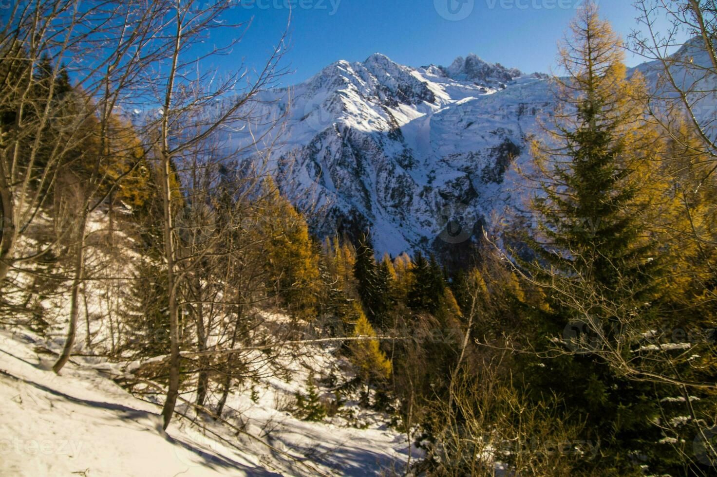 chamonix, haute savoie, frankrike foto