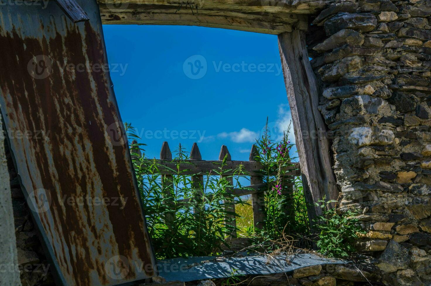 bois noir ceillac queyras i hautes alpes i Frankrike foto