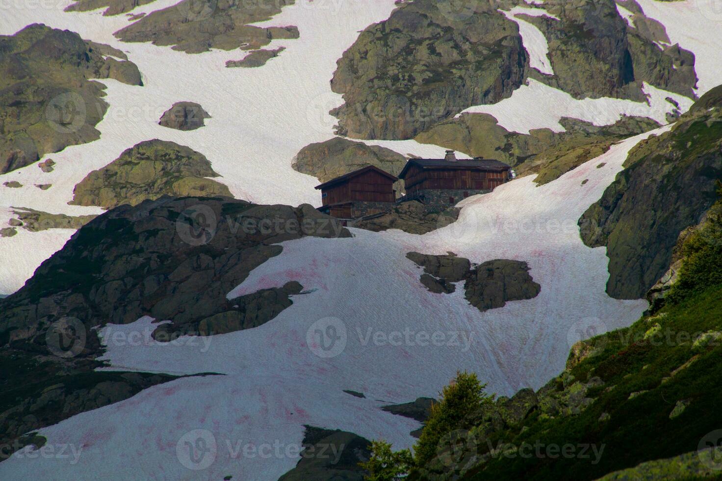 cheeries, argentiere,chamonix,haute savoie, frankrike foto