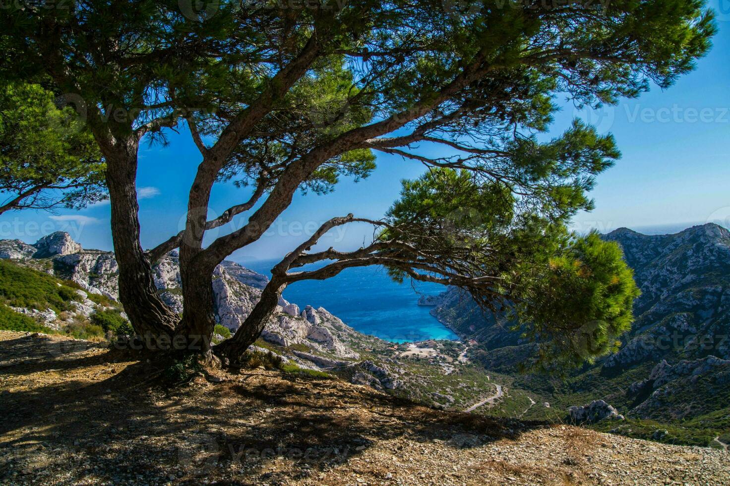 nationell parkera calanques foto