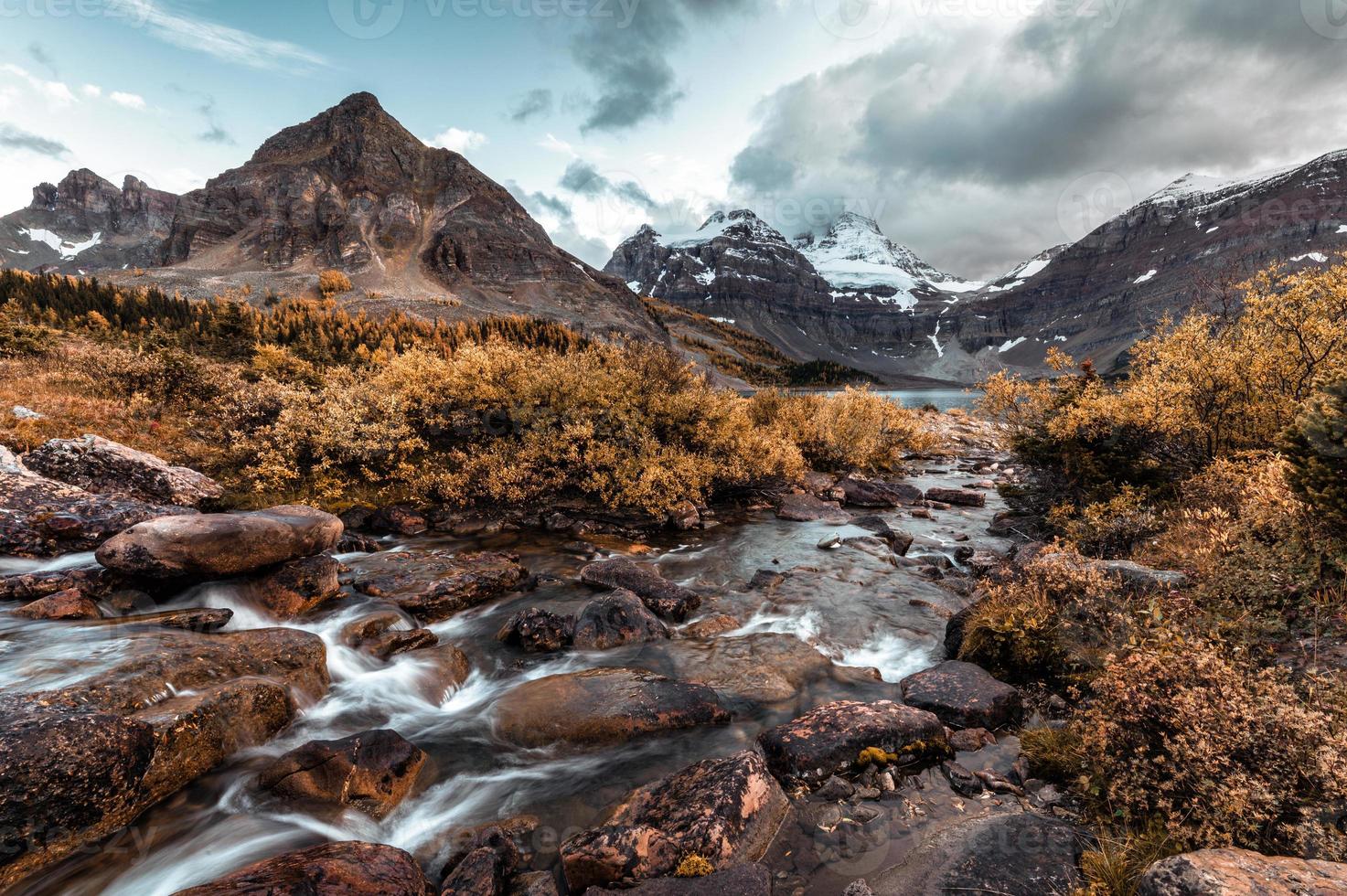 montera assiniboine med bäck som rinner i höstskogen vid provinsparken foto