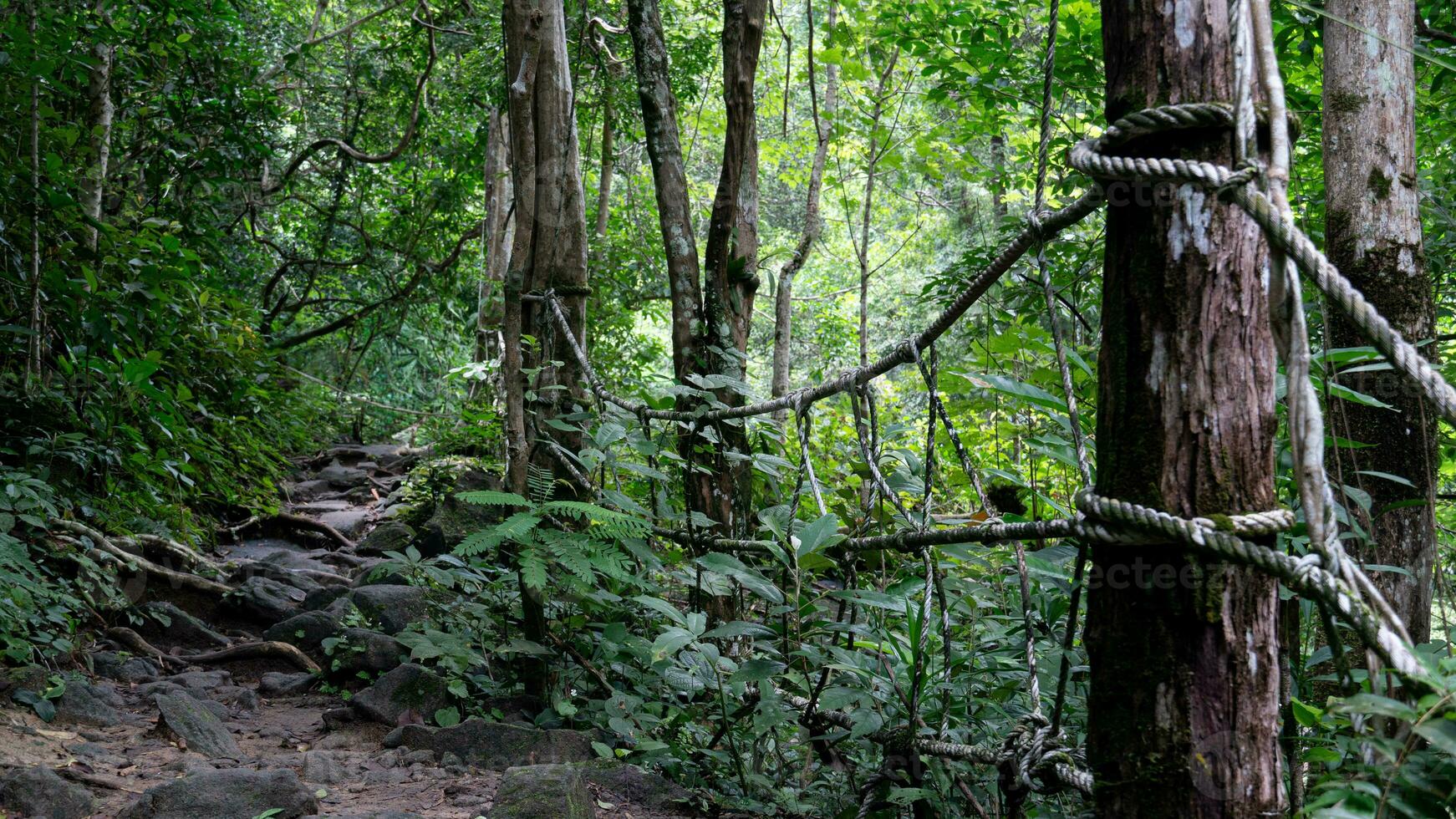 skog område med träd och tågvirke bunden för märkning spår och förebyggande falls förbi de vid vägkanten. gående banor i de skog. turist destination med vattenfall khao chamao av thailand. foto