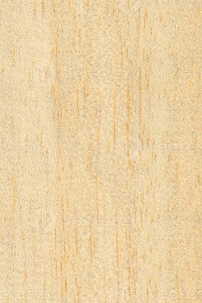 ljusbrun ayous samba trä textur bakgrund foto