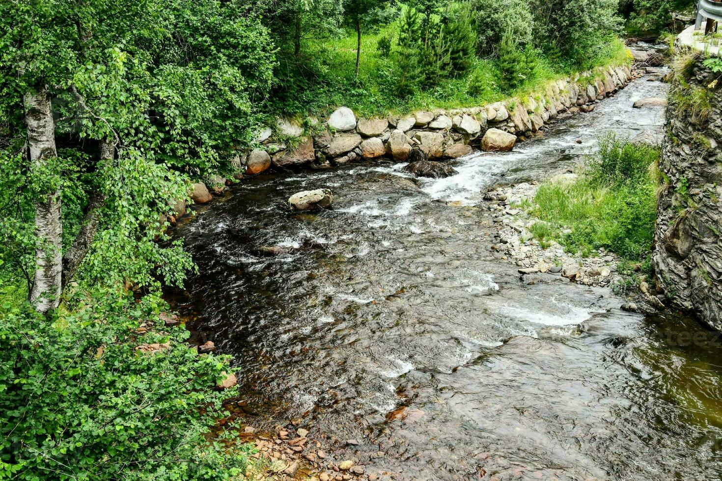 en flod löpning genom en skog med stenar och träd foto