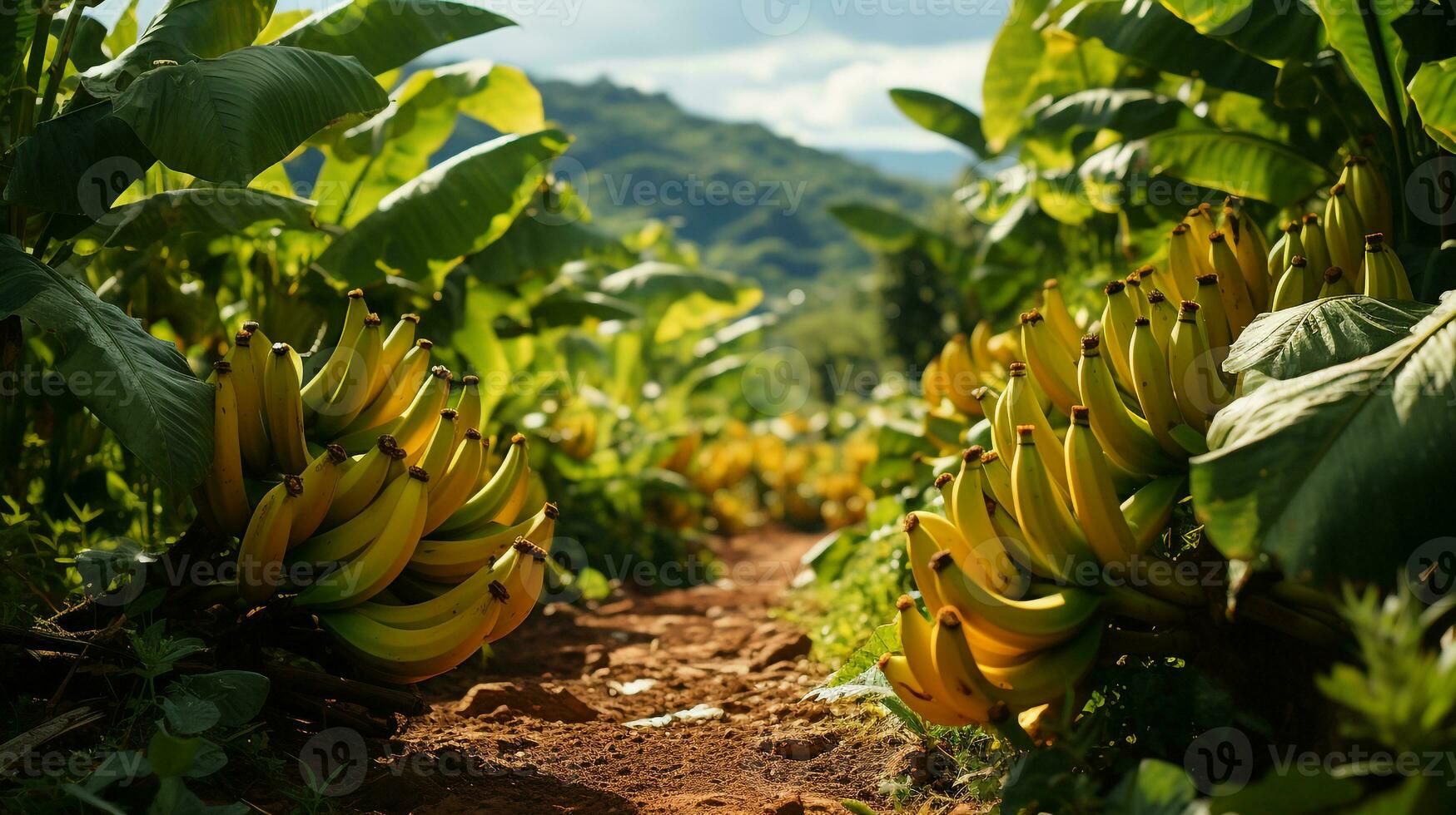 ai genererad skön se av de banan träd trädgård foto