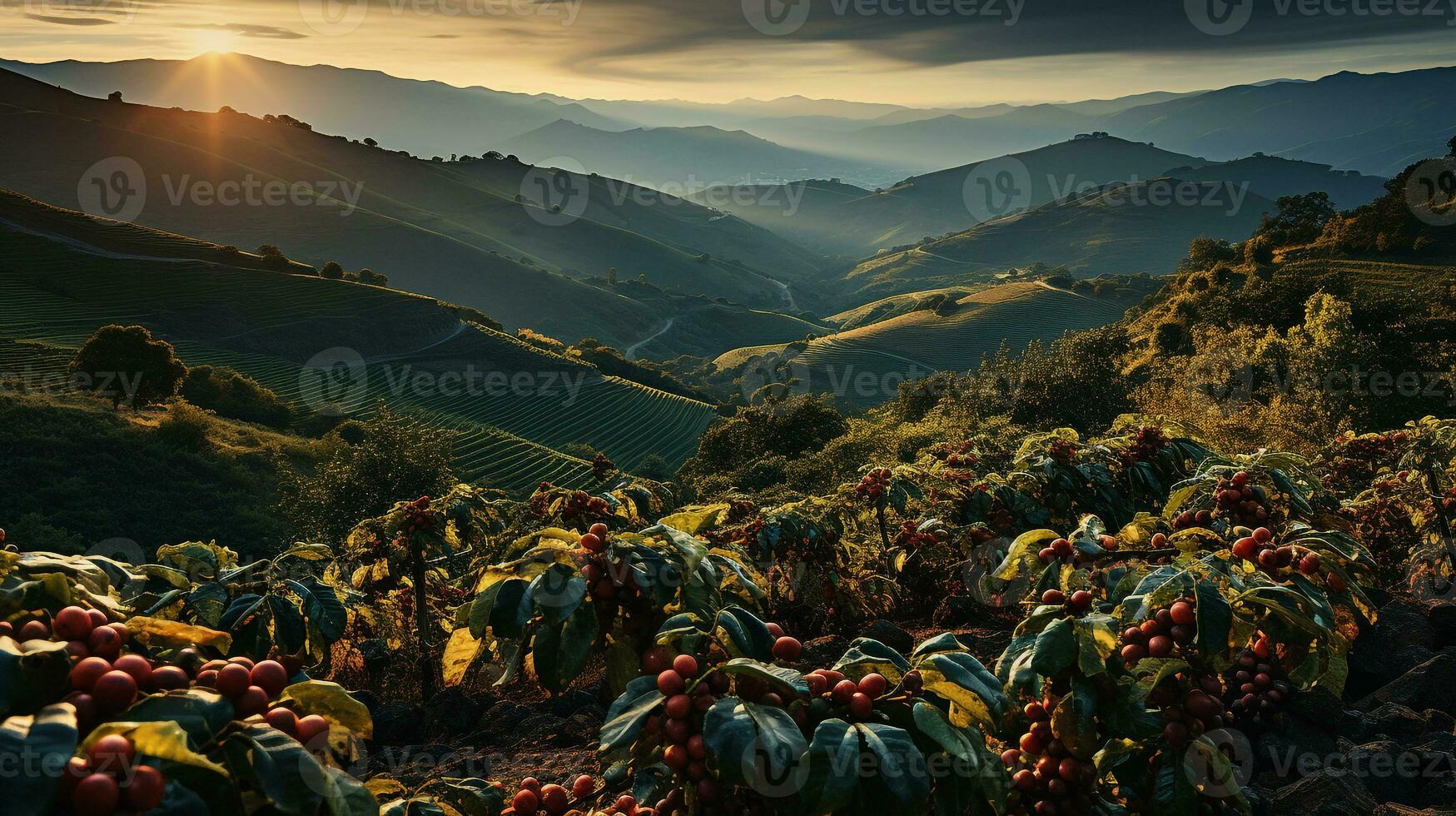 ai genererad se av de kaffe plantage foto