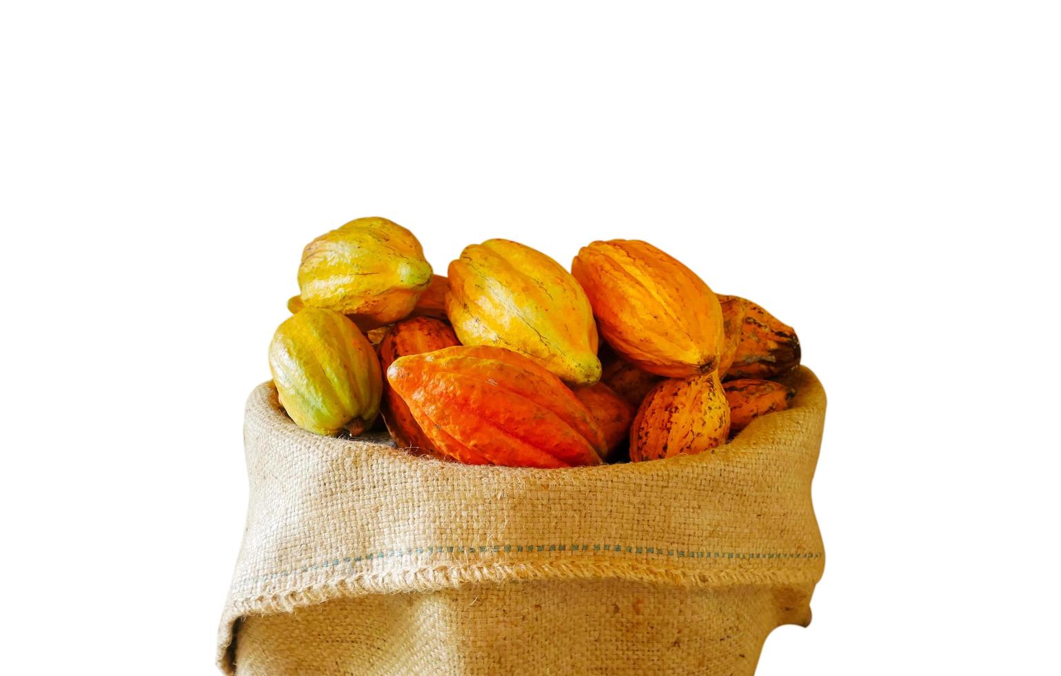 färsk kakao i säck isolerad på vit bakgrund foto